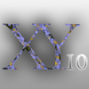 XY10