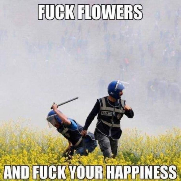 Fuck-Flowers-And-Fuck-Your-Happiness-Funny-Meme-Picture.jpg