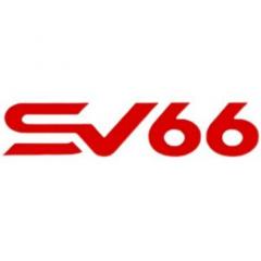 sv66solutions