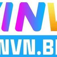 winvnpunchnels