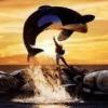 Free Willy