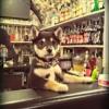 theBarkeeper